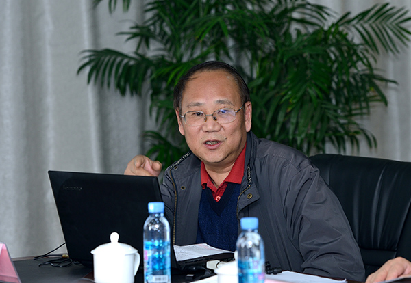 秦勇教授作专题发言